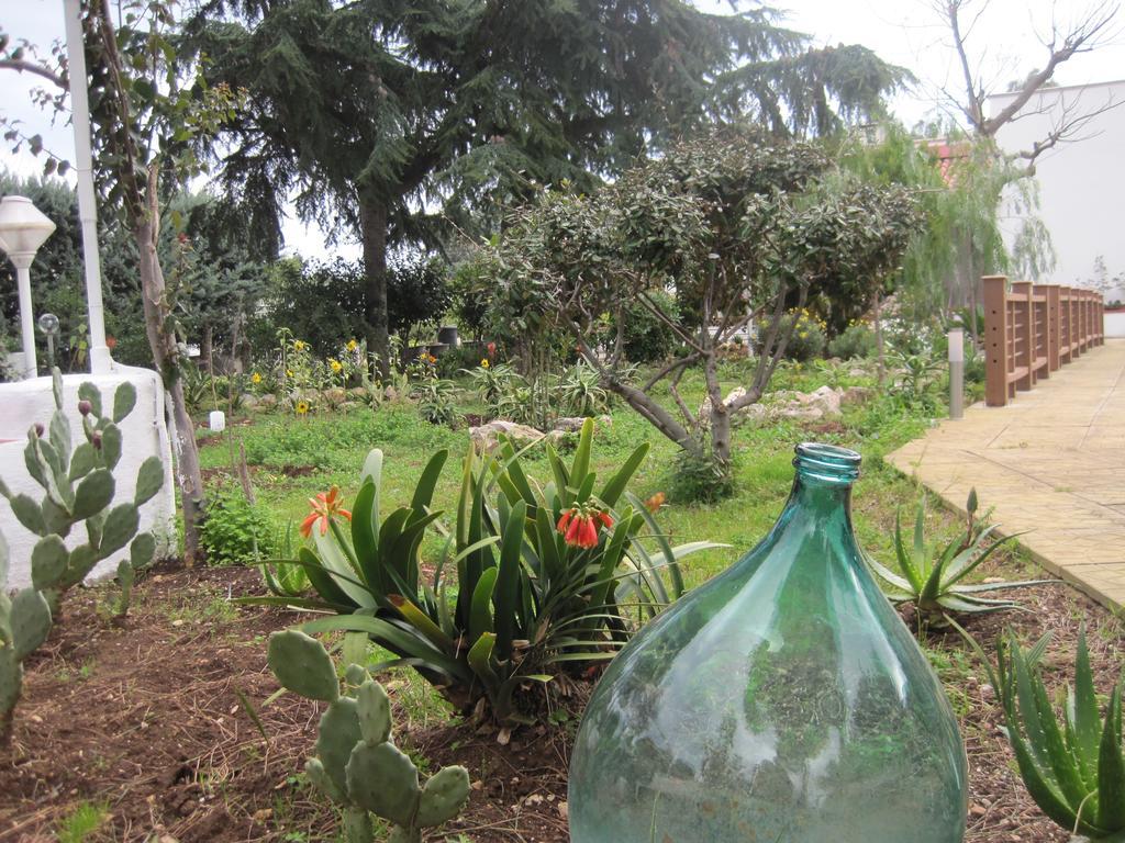 Bed and breakfast Santos *